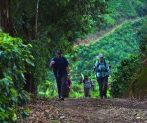 Costa Rica offers hiking (senderismo) for retired expats