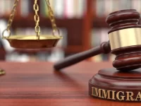 why hire an immigration attorney