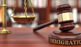 why hire an immigration attorney