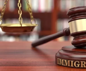 why hire an immigration attorney